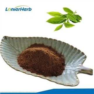 Polifenoles del té verde