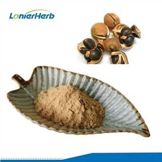 Polvo de saponina de té