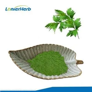 Polvo de hoja de ajenjo