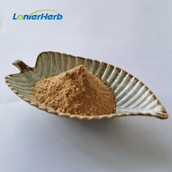 Ajuga Turkestanica Extract Powder