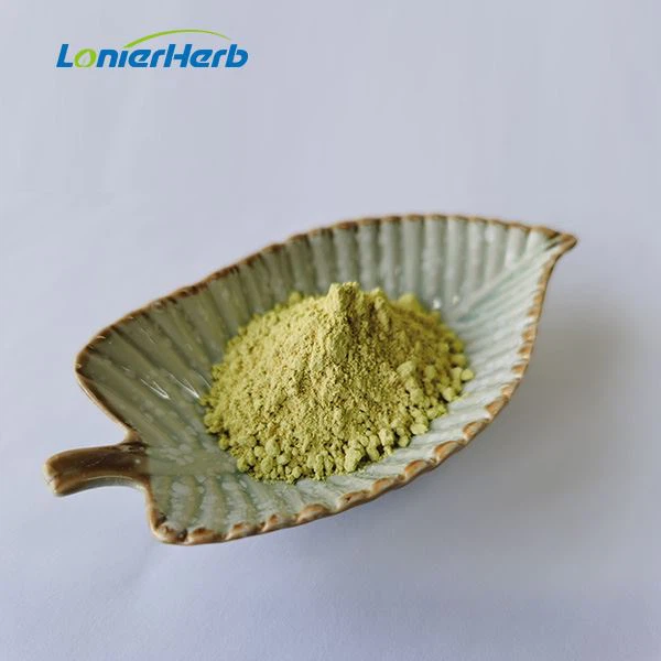 Erigeron Breviscapus Extract