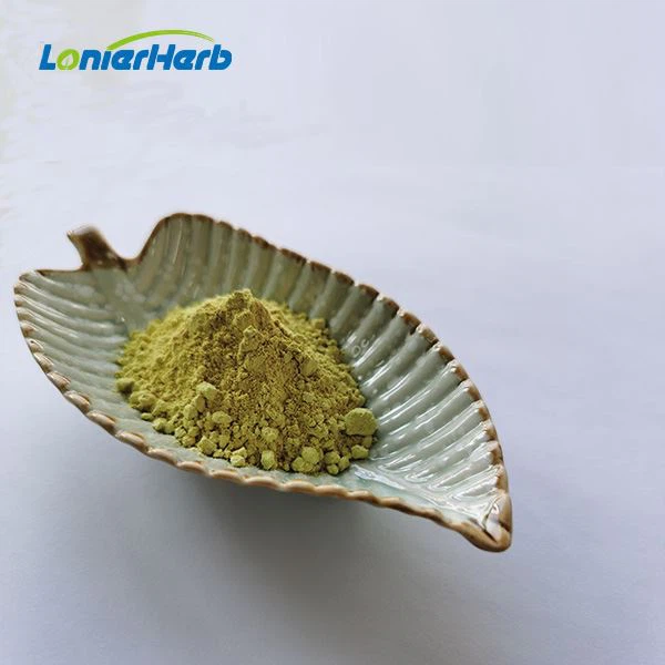 Erigeron Breviscapus Extract