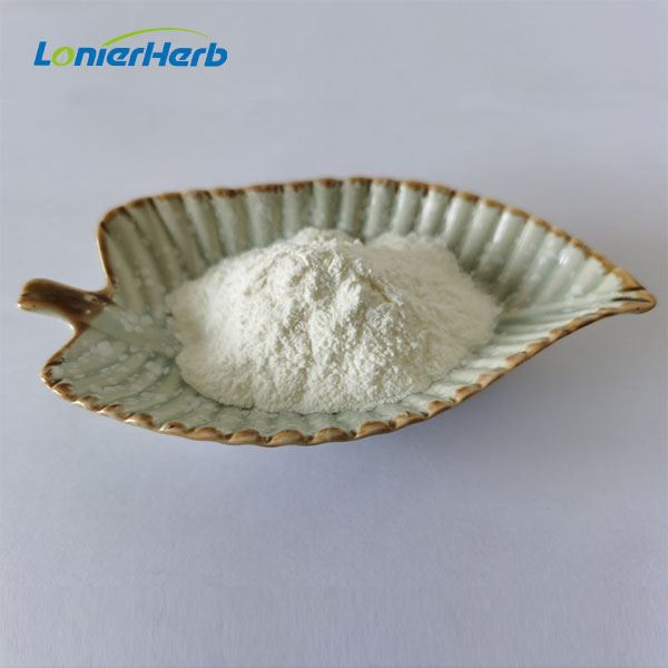 Fucoidan Extract Powder