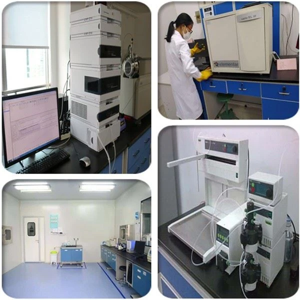 Lab