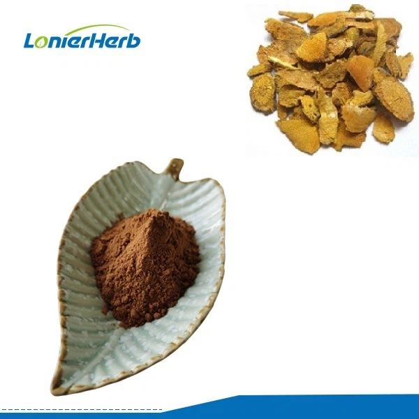 Japanese Knotweed Extract