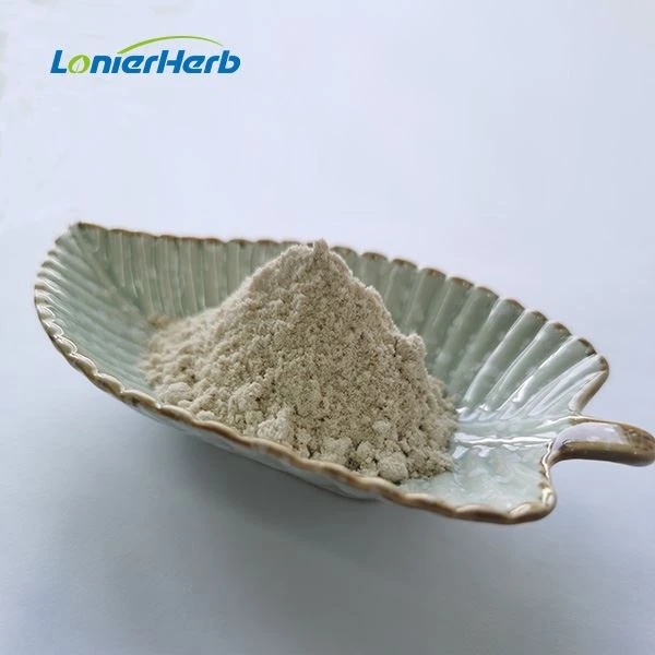 Jerusalem Artichoke Extract