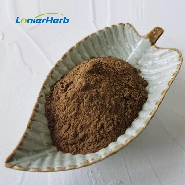 Sarcandra Glabra Extract Poowder