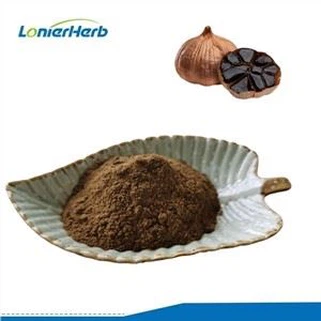Polvo de extracto de ajo negro