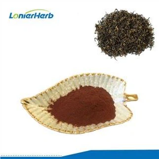 Extracto de té negro Teaflavina