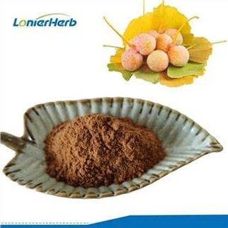 Extracto de semilla de ginkgo