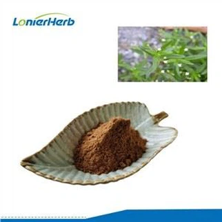 Extracto de Hedyotis difusa