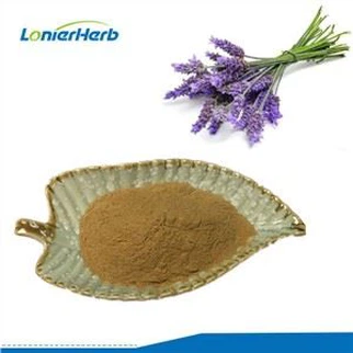 Polvo de extracto de lavanda