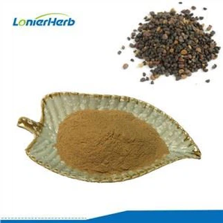 Extracto de semilla de gloria de la mañana