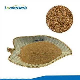 Polvo de extracto de semilla de mostaza