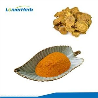 Extracto de raíz de Rheum Palmatum