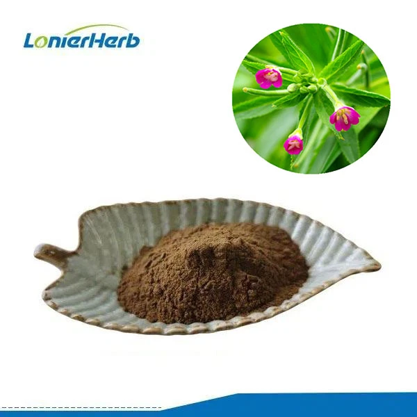 Epilobium Parviflorum Extract