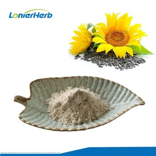 Polvo de proteína de semilla de girasol