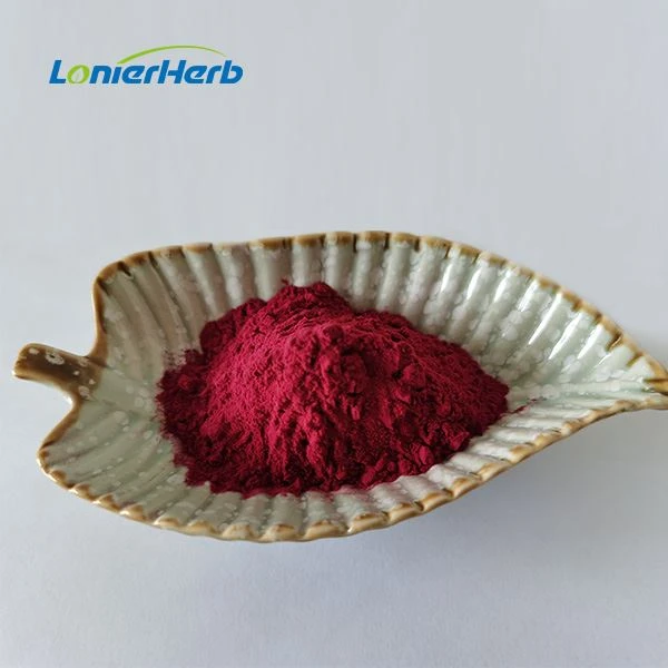 Black Elderberry Extract Powder