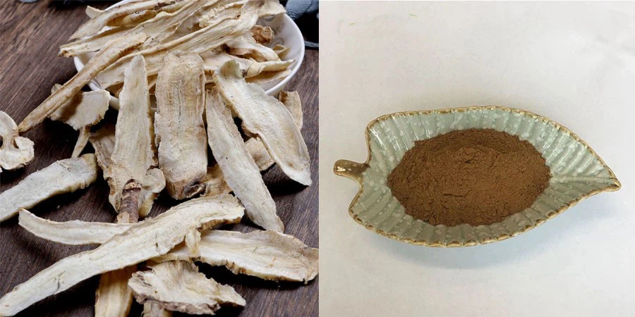 Platycodon Extract Platycodon Extract