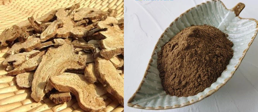 Atractylodes macrocephala Extract Powder price Atractylodes macrocephala Extract Powder price