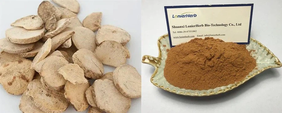 high quality Alisma Extract high quality Alisma Extract