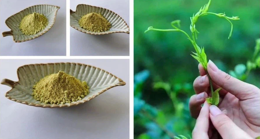 Myricetin Powder Myricetin Powder