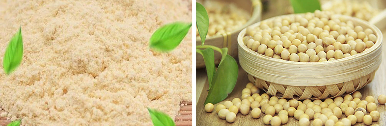 Lonierherb Soybean Polysaccharide Lonierherb Soybean Polysaccharide