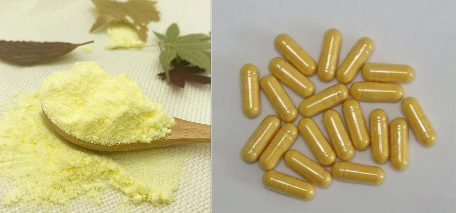 Lonierherb Alpha Lipoic Acid Lonierherb Alpha Lipoic Acid