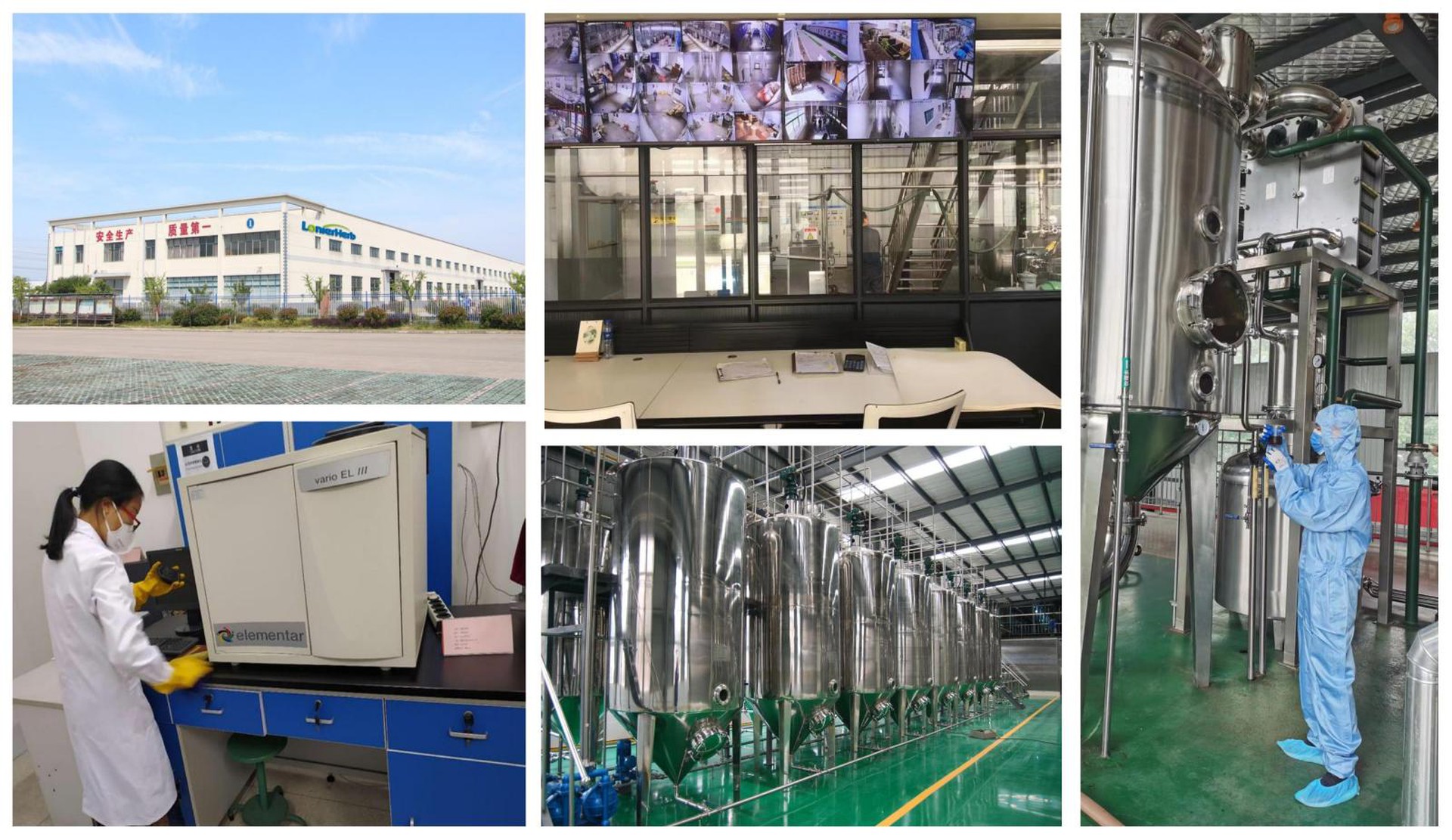 Lonierherb Cerficiate Lonierherb Cerficiate