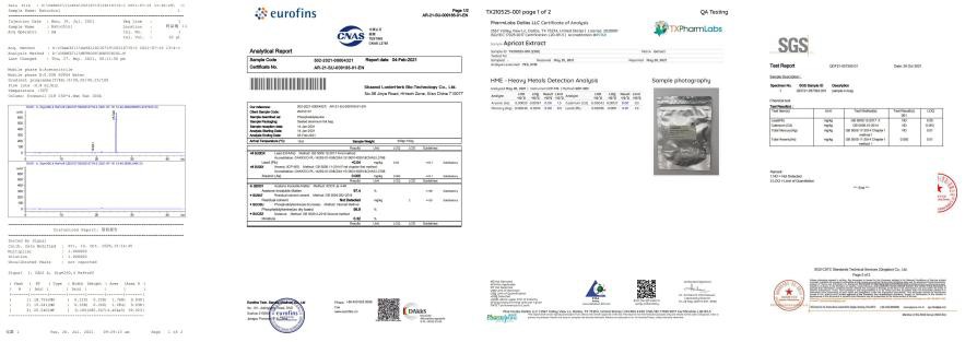 Test Report 2 Test Report 2