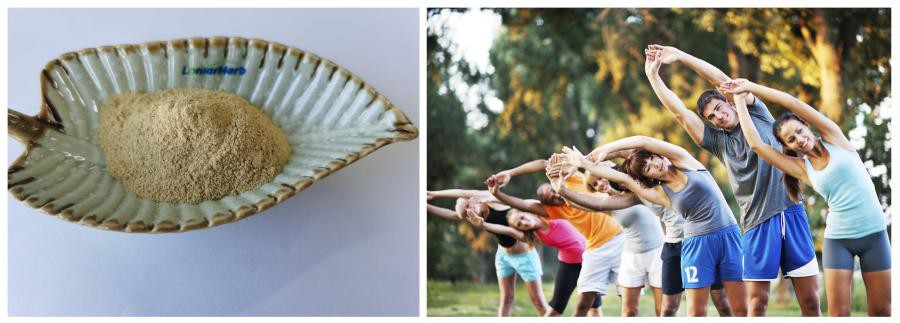 Selenium Enriched Yeast Selenium Enriched Yeast