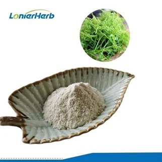 Dihidromricetina en polvo