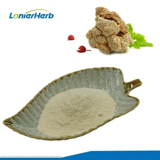 Polvo de extracto de notoginseng