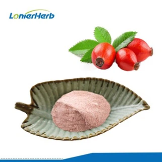 Polvo de fruta de rosa mosqueta